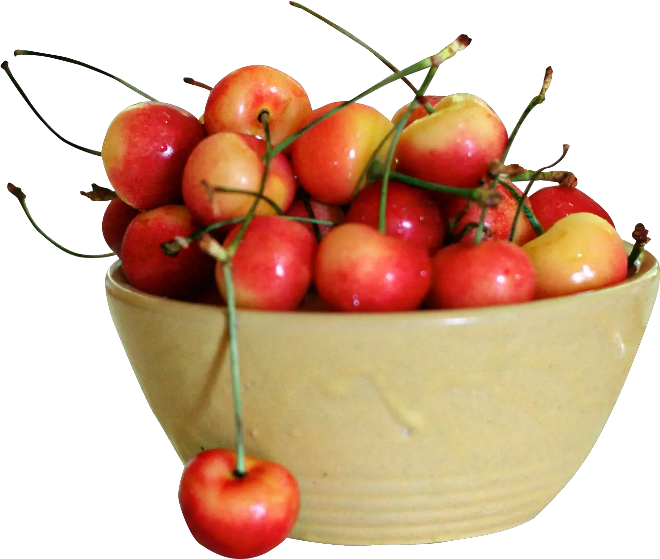 Download Rainier Cherries Png Image For Rainier Cherry Cherries Png