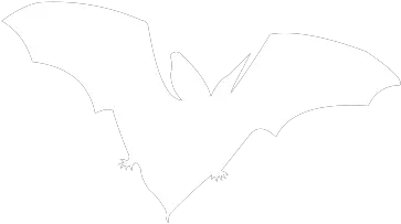 Canadian Wildlife Federation Help The Bats Fictional Character Png Bats Icon