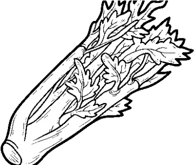 Pretty Design Ideas Celery Coloring Celery Colouring Pages Png Celery Png