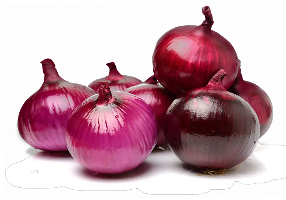 Red Onion Png Image With No Background Red Onion Png Onion Png