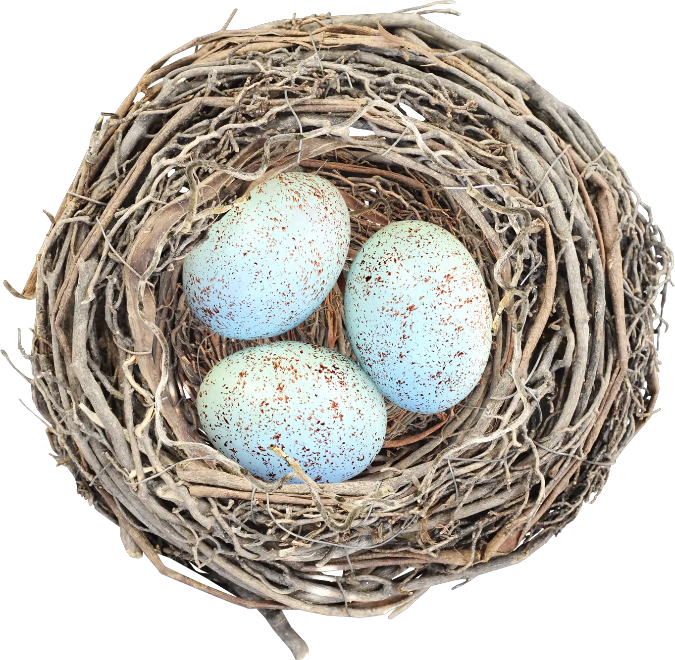 Download Nest Png Image With No Nest Png Nest Png