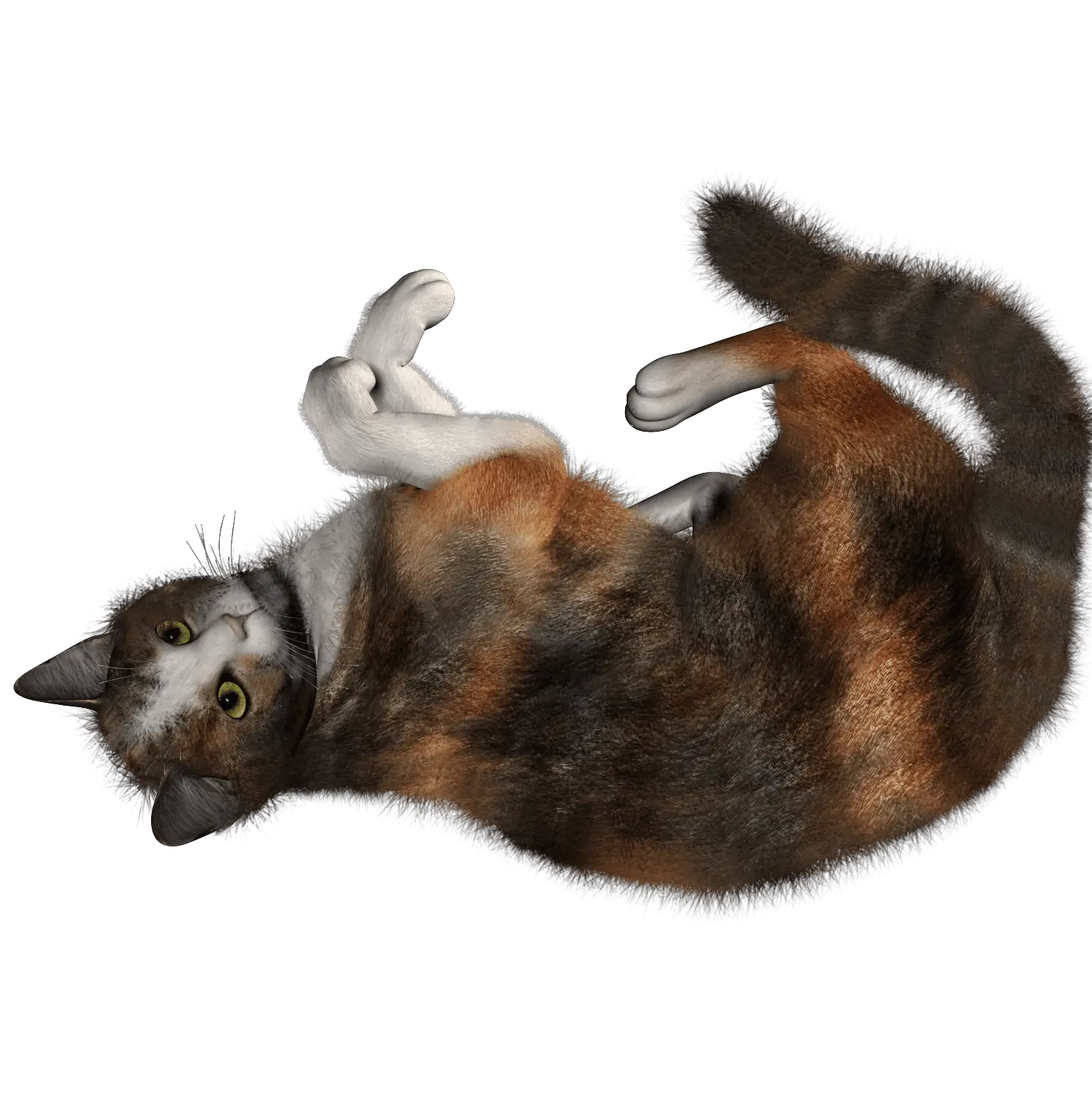 Candy Cat Png