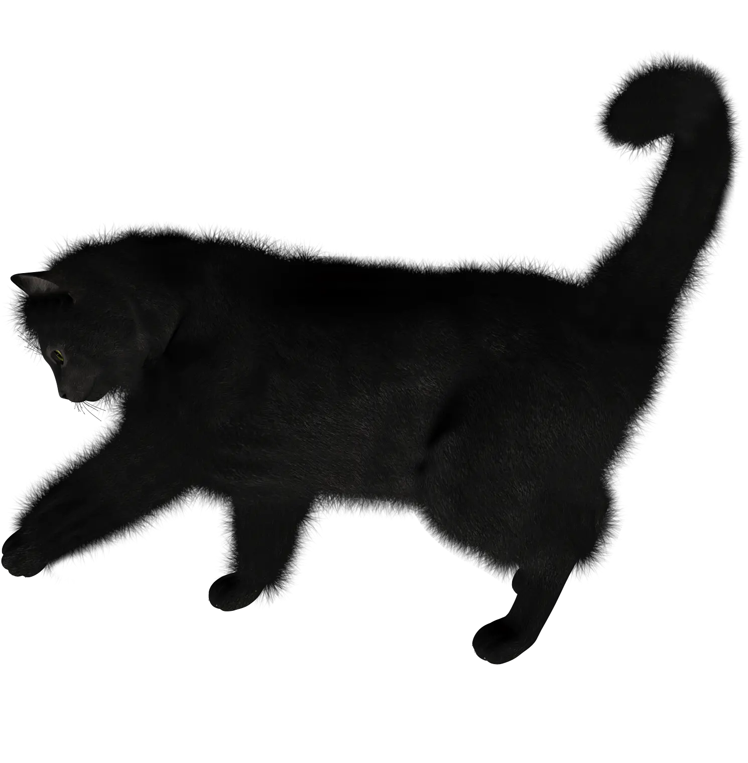 Black Cat Walking Png