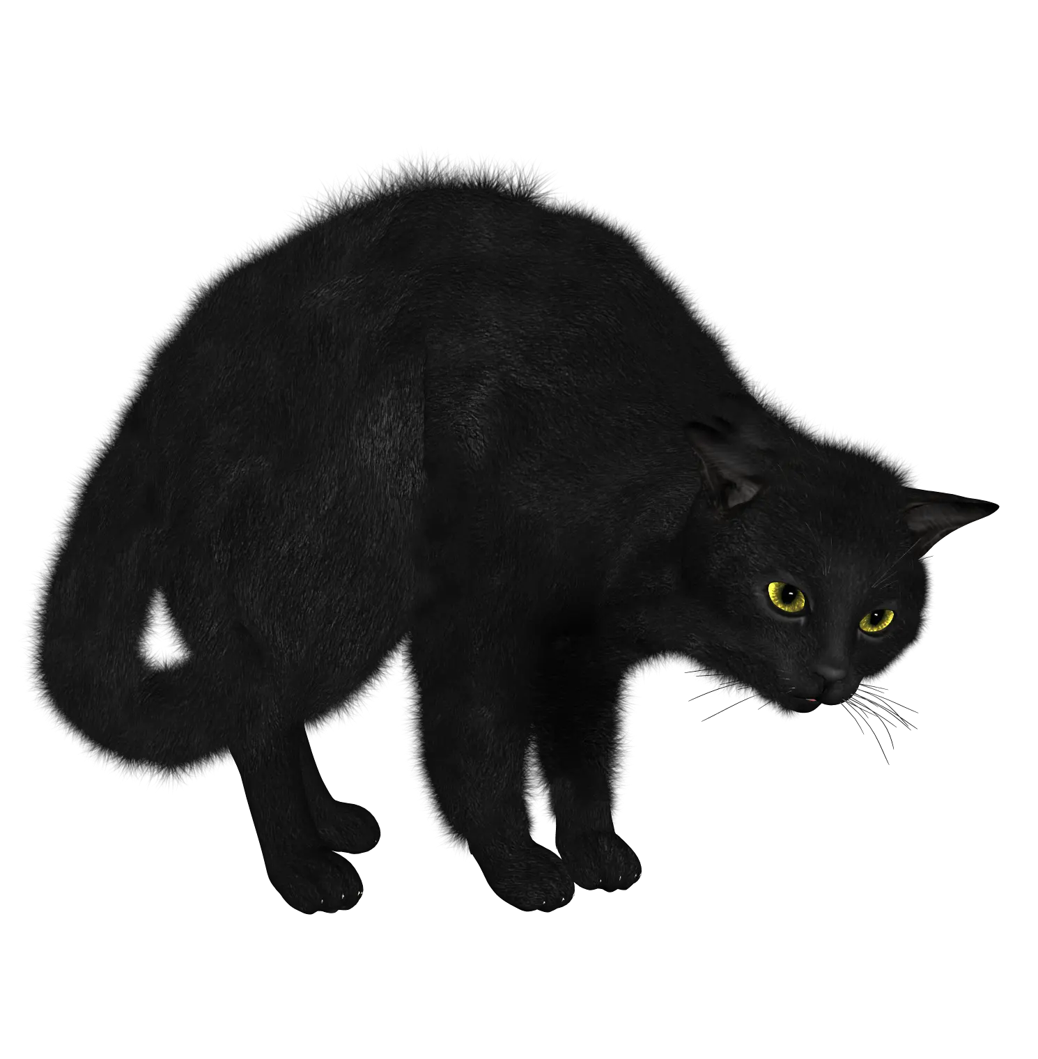 Black Cat Png Marvel