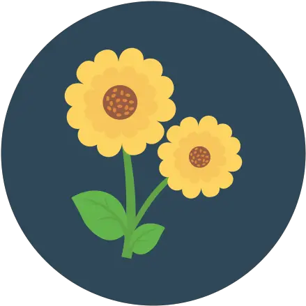 Flower Free Nature Icons Fresh Png Wildflower Icon