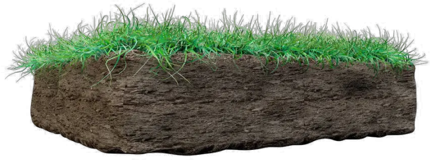 Grass Grass With Mud Png Mud Png