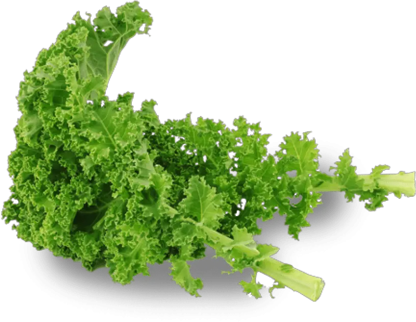 Free Png Kale Images Transparent Kale Transparent Background Kale Png