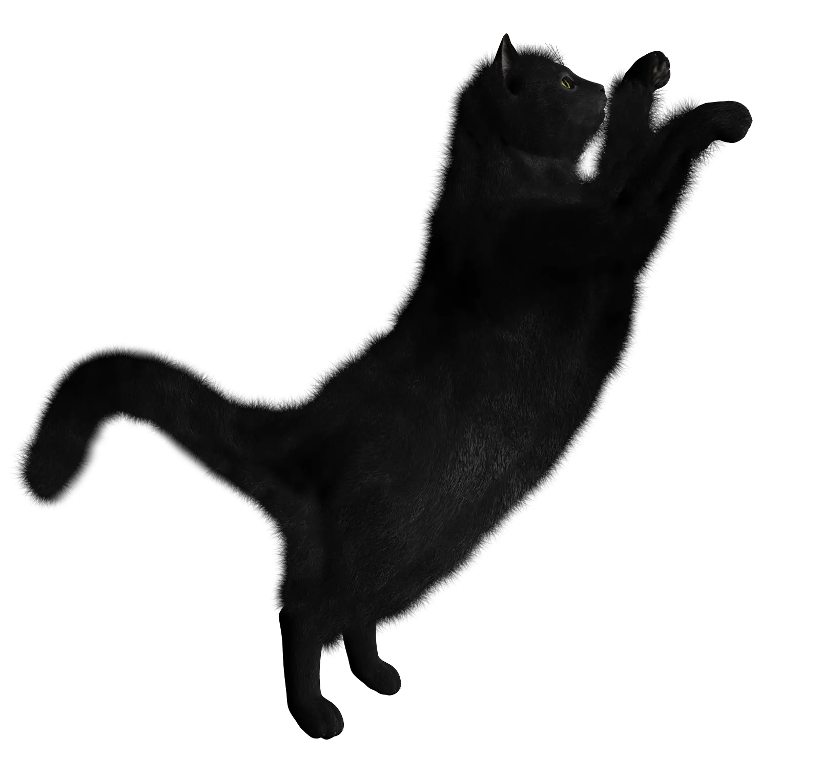 Anime Cats Png