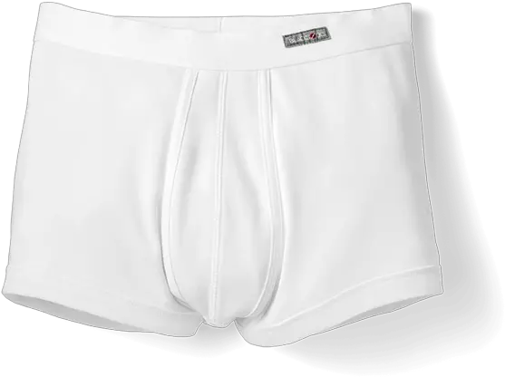 Boxers Josephine In White Form Fitting Cut White Boxer Underwear Png Boxer Png