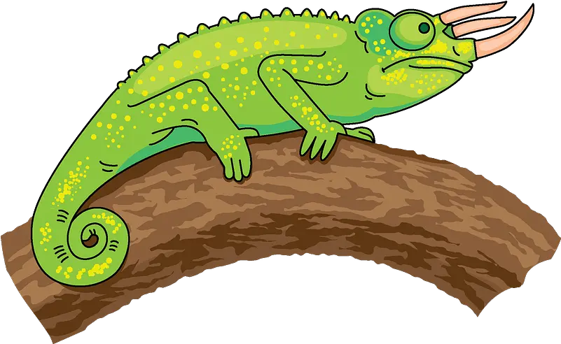 Trioceros Chameleon Clipart Chameleon Clipart Png Chameleon Png