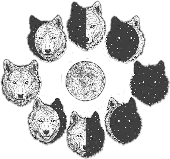 Freetoedit Moon Wolf Drawing Png Wolves Png