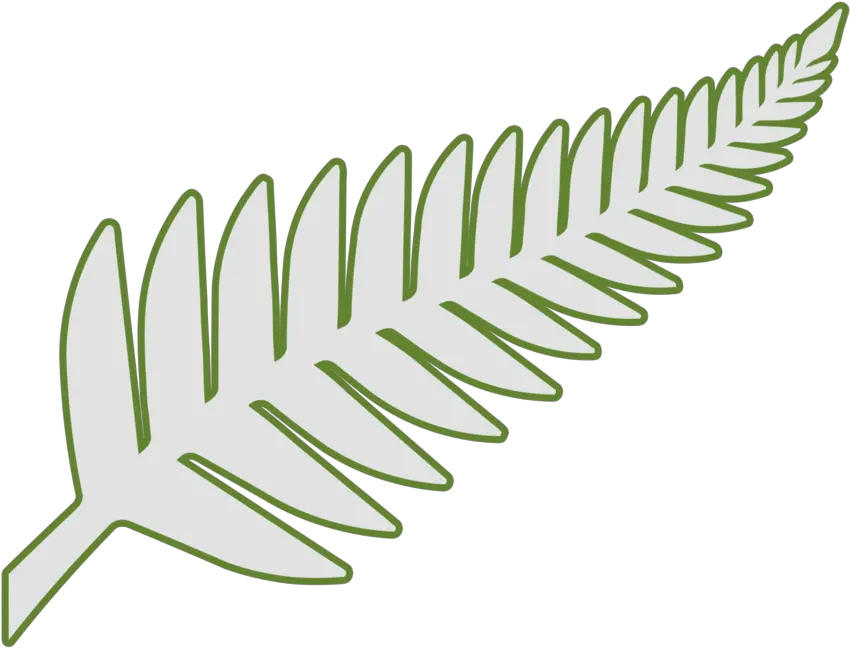 Silver Fern Png 6 Image Silver Fern Png Fern Png