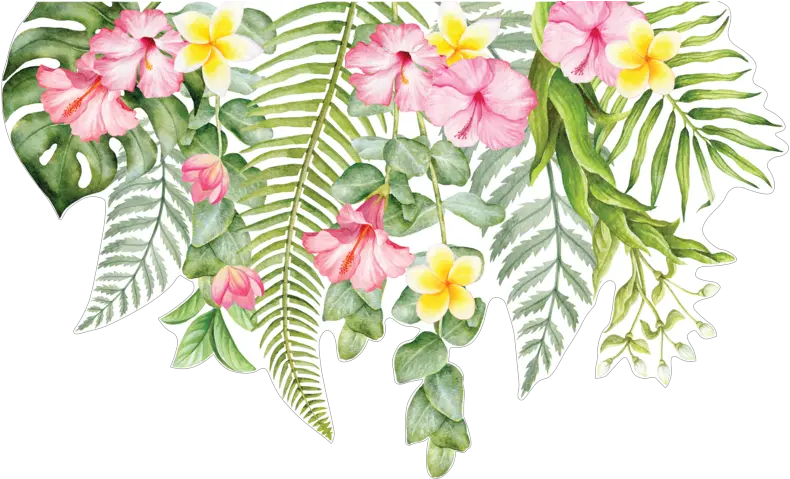 Tropical Flowers For Greenery Transparent Background Tropical Flowers Png Tropical Flower Png