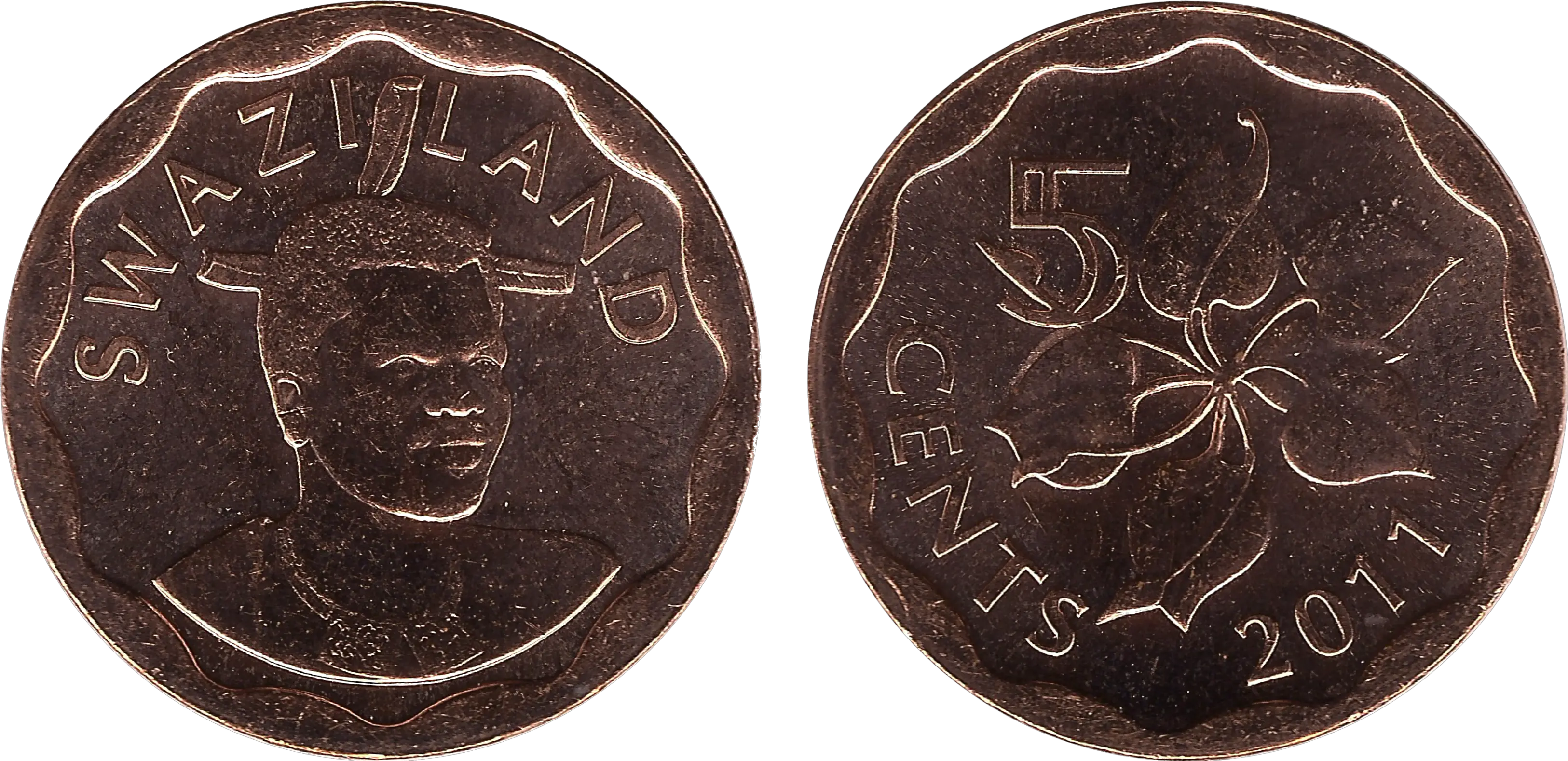 Swazi 5 Cent Coin Currency Wiki Fandom Solid Png Cent Png