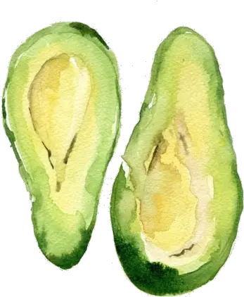 Download Tumblr Avocado Png Avocado Transparent