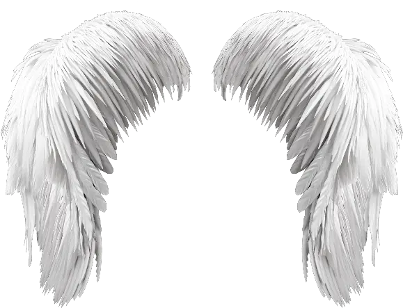 Halo Clipart Angels Wing Png Angel Wings Photoshop Wing Png