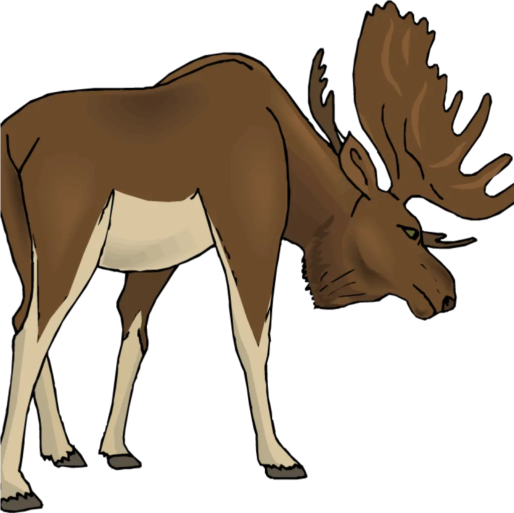 Free Moose Clipart Money Illustrations 10 Clipart Moose Png Moose Png