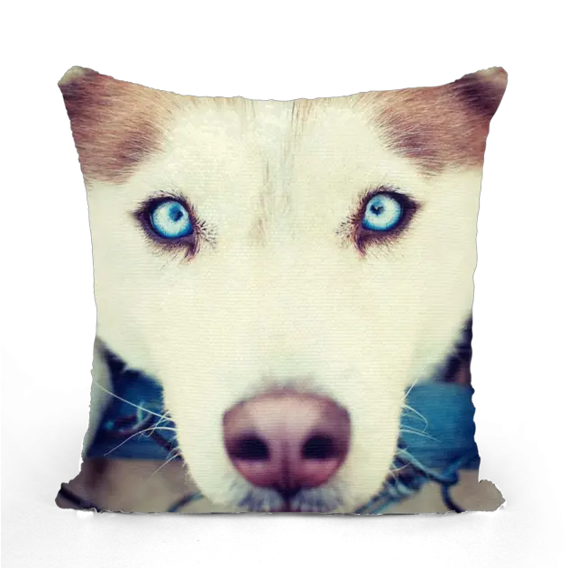 Siberian Husky Dog Sequin Cushion Cover Saber Si Es Husky Original Png Husky Png