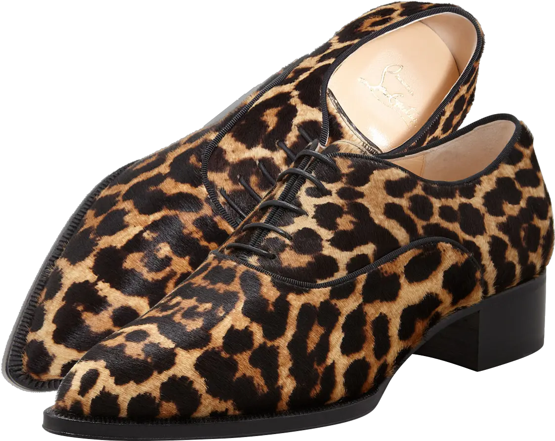 Christian Louboutin Zazou Pointed Toe Leopardprint Calf Pointy Toe Png Christian Louboutins Logo