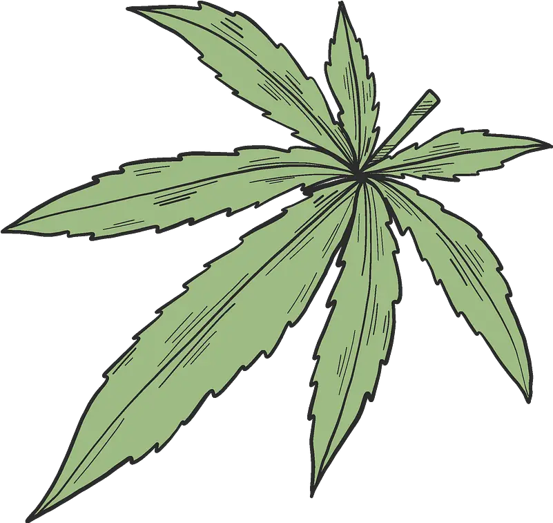 Clipart Transparent Clipart Marijuana Plant Png Marijuana Leaf Png