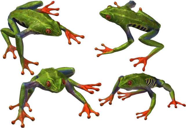 Frog Png Transparent Background Image For Free Download 17 Portable Network Graphics Frog Transparent Background