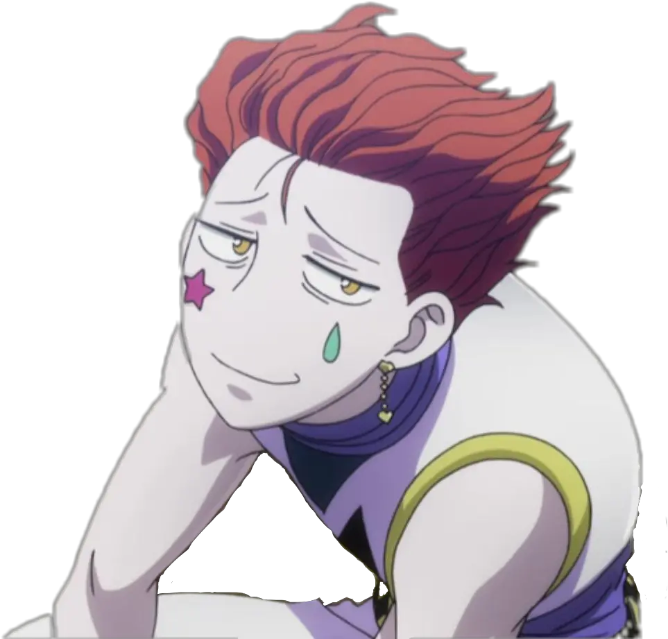 Download Free Png Hd Hunter X Hunter Profile Hisoka Png