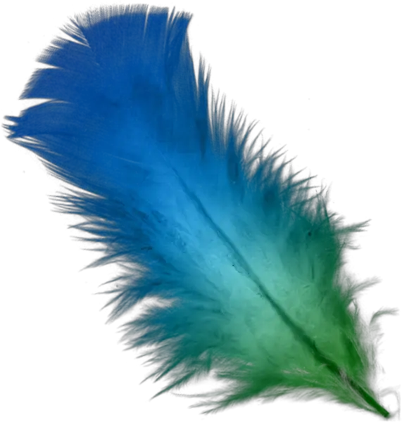 Blue Feather Transparent Png Clipart Feathers Png Feather Transparent Background