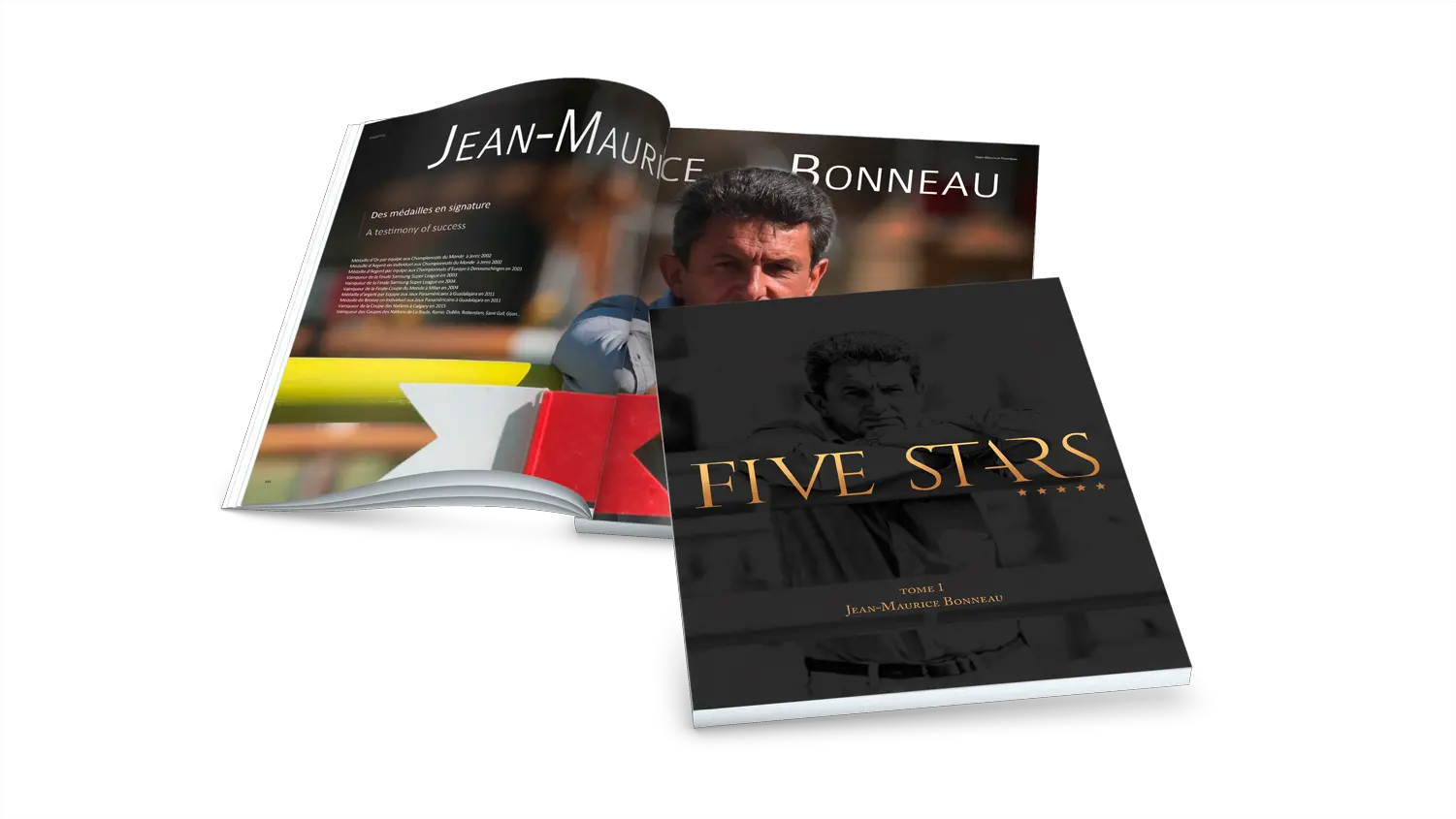 Download Hd Five Stars Tome Flyer Transparent Png Image Horizontal Five Stars Transparent