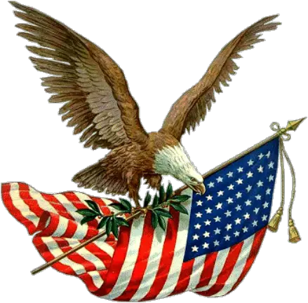 Parade Day Holiday Bird Hq Png Image Memorial Day Images Clip Art Memorial Day Png