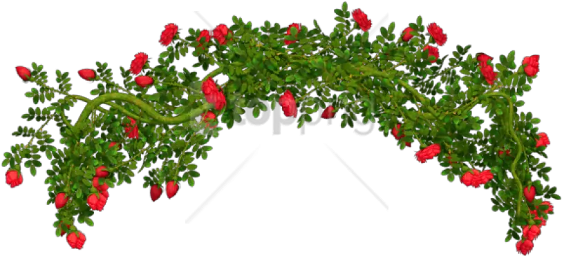 Free Png Download Rosebush Elementpicture Clipart Png Rose Bush Transparent Shrub Transparent Background