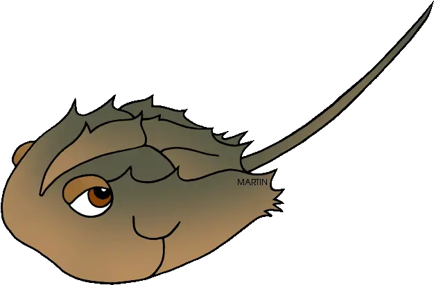 Animals Clip Art By Phillip Martin Horseshoe Crab Horseshoe Crab Clipart Png Crab Clipart Png