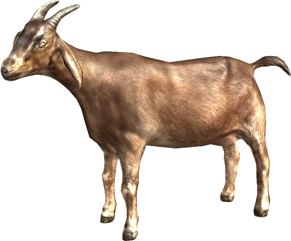 Download Goat Png Picture Hq Image Transparent Background Goat Png Goat Horns Png