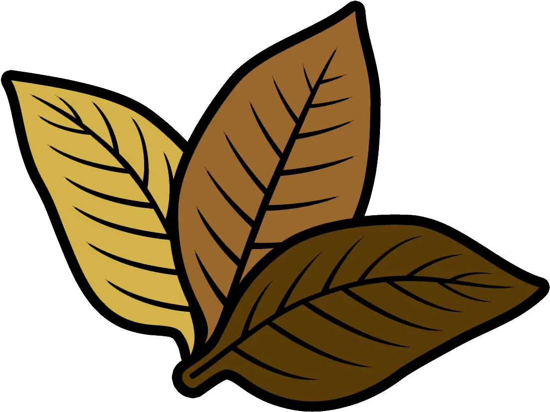 Tobacco Leaf Png Tobacco Leaf Icon Png Tobacco Leaf Png