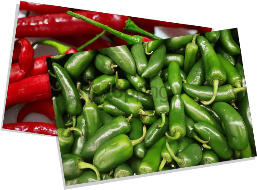 Birds Eye Chili Png Image With No Chile Jalapeño Chili Png