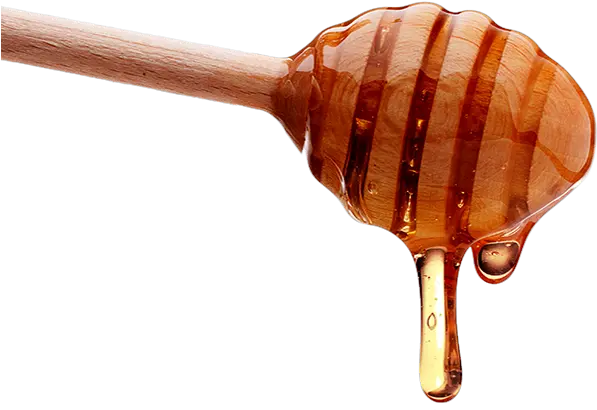 Download Honey Spoon Png Honey Drizzle Transparent Png Transparent Honey Dipper Honey Transparent Background