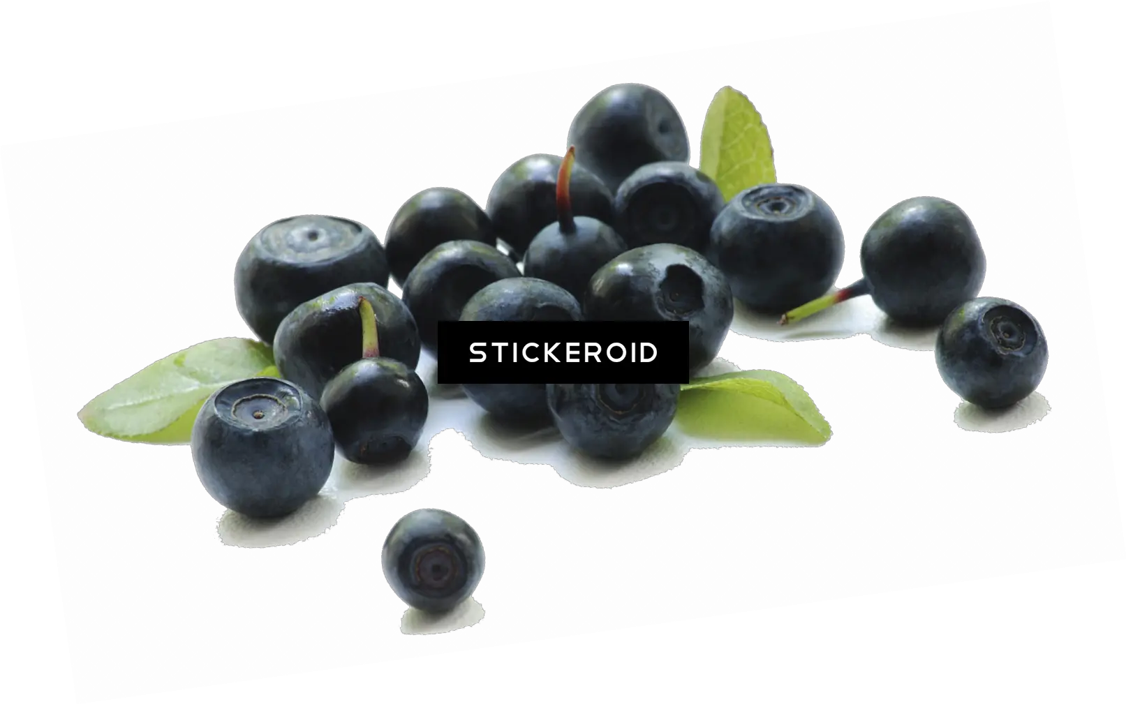 Berries Berries Transparent Background Png Berry Png