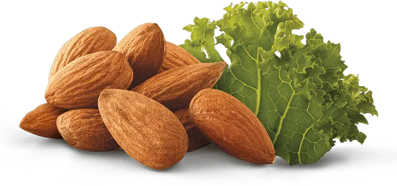 Almond And Kale Almond Png Kale Png