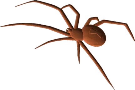 Blackwidow Spider Transparent Background Spider Transparent Png Black Widow Spider Png