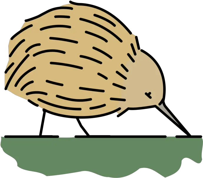 Kiwi Bird Coloring Book Png Clipart Clip Art Kiwi Bird Png