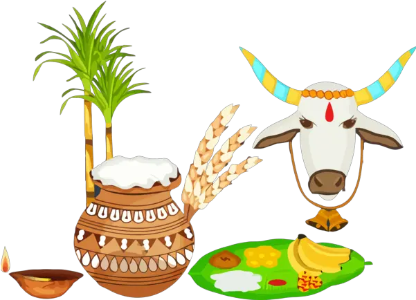 Pongal Bovine Animal Figure Cow Goat Family For Thai Pongal Pongal Banner Png Goat Transparent