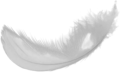 Curly Feather Png Download Bean Bag Chair Feather Png