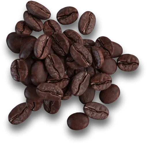 Pellini Italian Coffee The Real Espresso Shop Online Java Coffee Png Coffee Beans Png