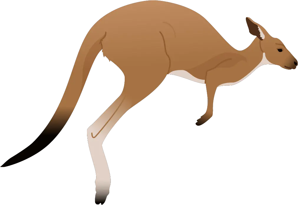 Kangaroo Clipart Png Kangaroo Transparent Cartoon Jingfm Clip Art Kangaroo Png Kangaroo Png