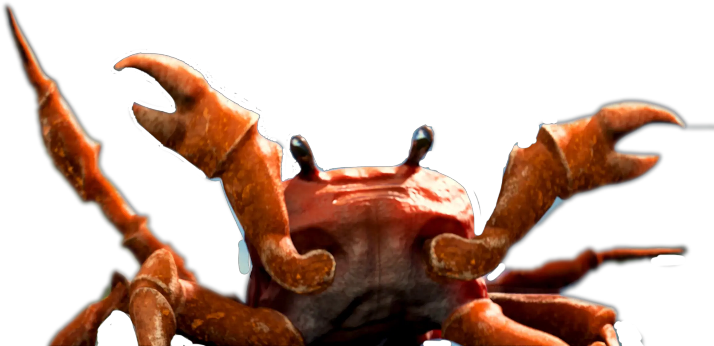 Crab Rave Sticker By Trampoline Beam Crab Rave Crab Transparent Png Crab Transparent Background