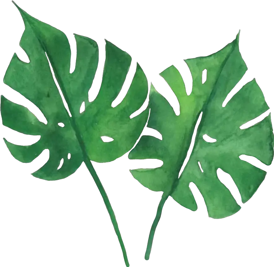 Watercolor Tropical Leaves Png Watercolor Tropical Leaves Png Tropical Leaves Png