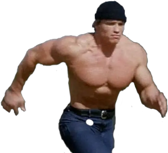 Running Arnold Schwarzenegger Man With A Time Machine Meme Png Arnold Schwarzenegger Png