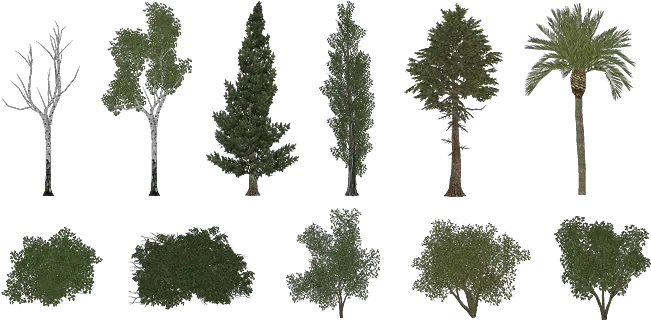 Pro Cycling Manager Foliage Pack Zoo Tycoon 2 Tree Png Zoo Tycoon 2 Icon