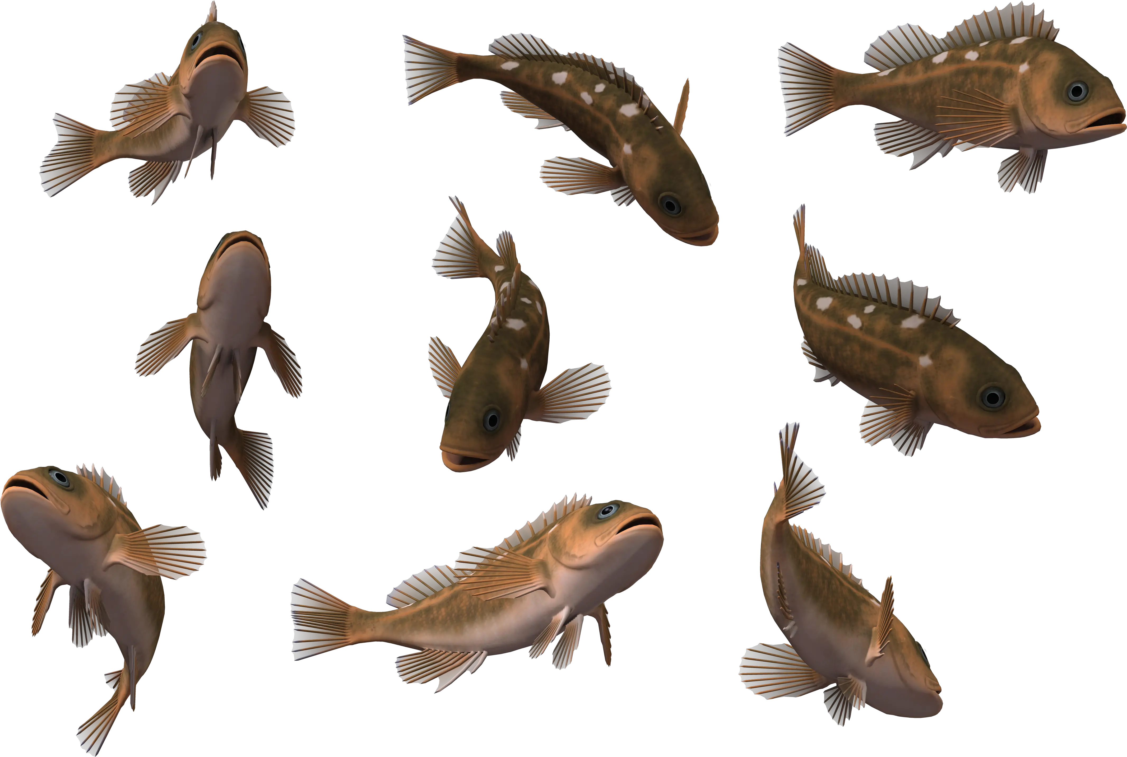 Tropical Fish 3d Computer Graphics Wallpaper Benthic Fauna Fishes Png Tropical Fish Png