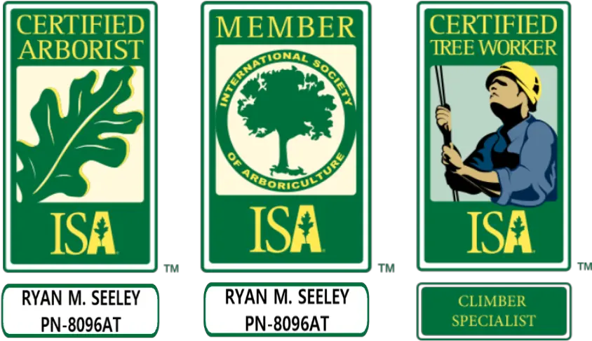 Maple Valley Tree Service Info Isa Certified Arborist Png Clip Perfect Storm Icon For Hire