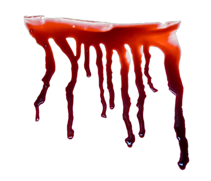 Blood Drop Logo Png